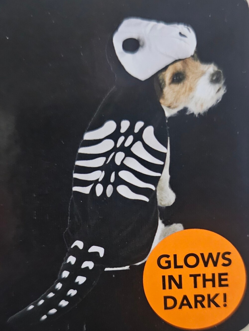 Glow-in-the-Dark Dog Dinosaur Skeleton Costume - Sz Medium